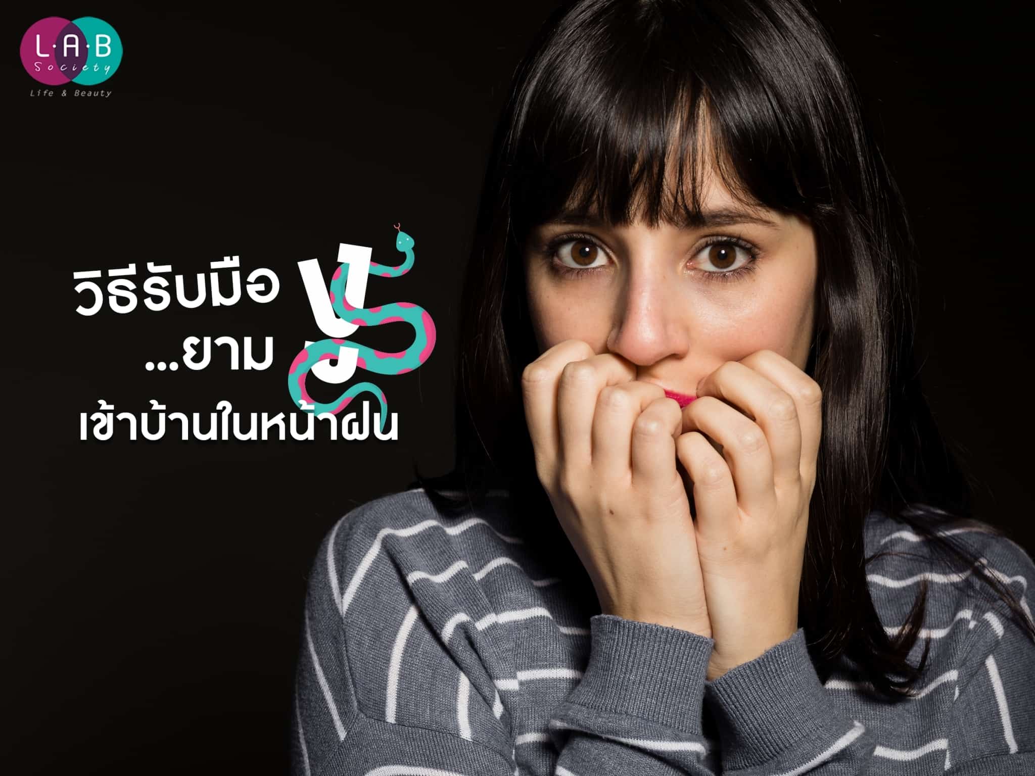 วิธีรับมือยามงูเข้าบ้านในหน้าฝน