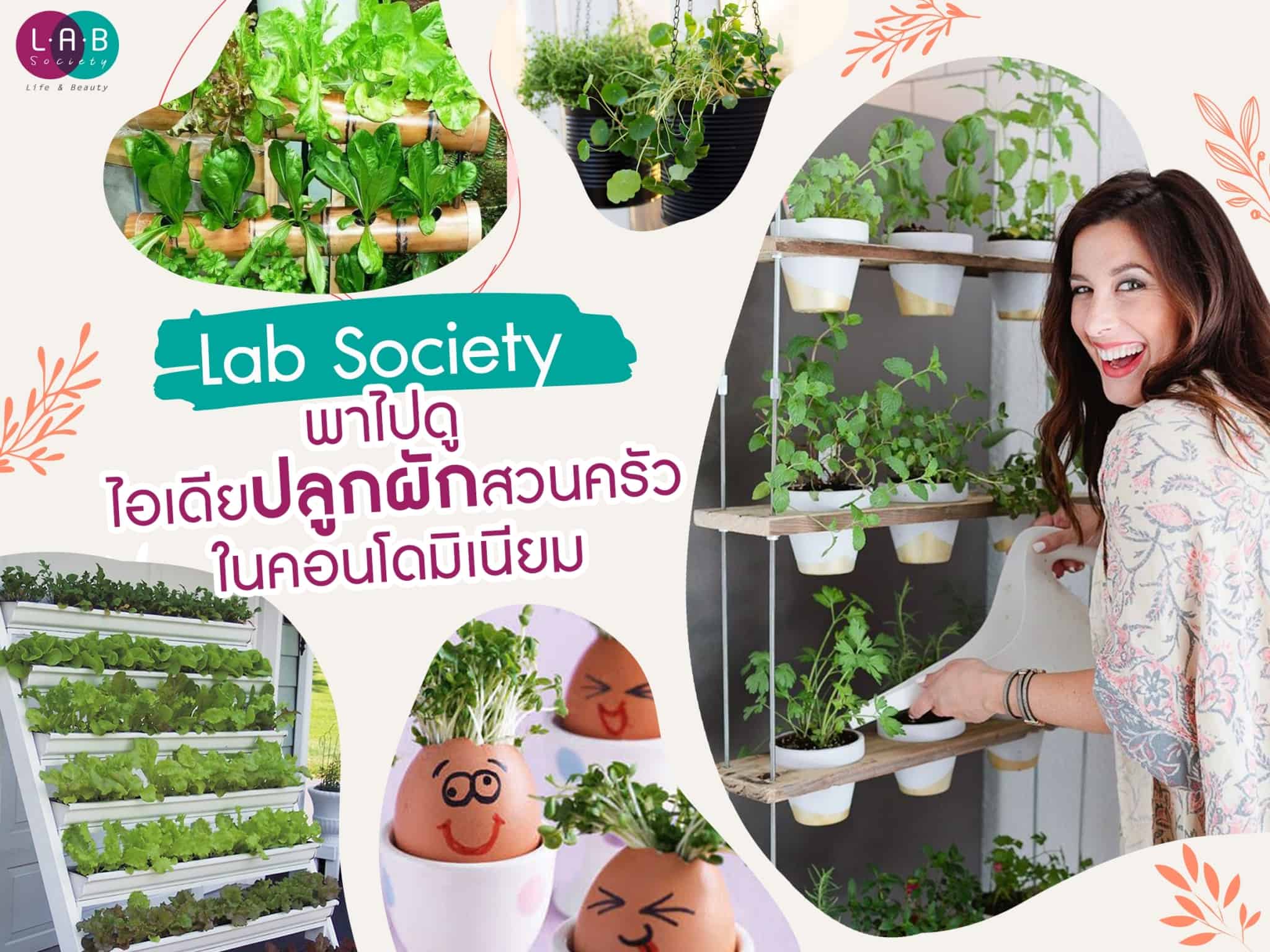 Lab Society พาไปดู ไอเดียปลูกผักสวนครัวในคอนโดมิเนียม