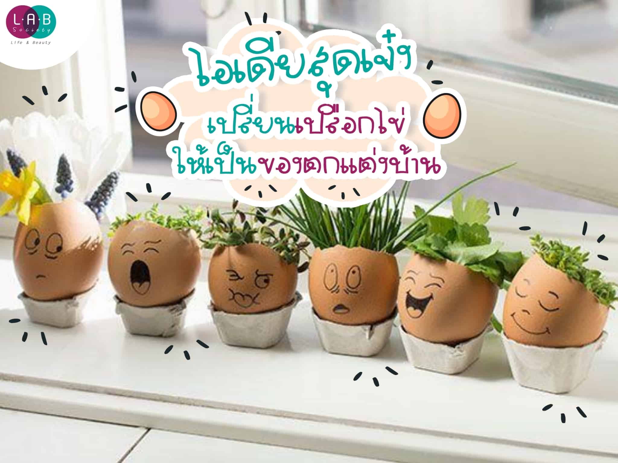 ไอเดียสุดเจ๋ง เปลี่ยนเปลือกไข่ให้เป็นของตกแต่งบ้าน