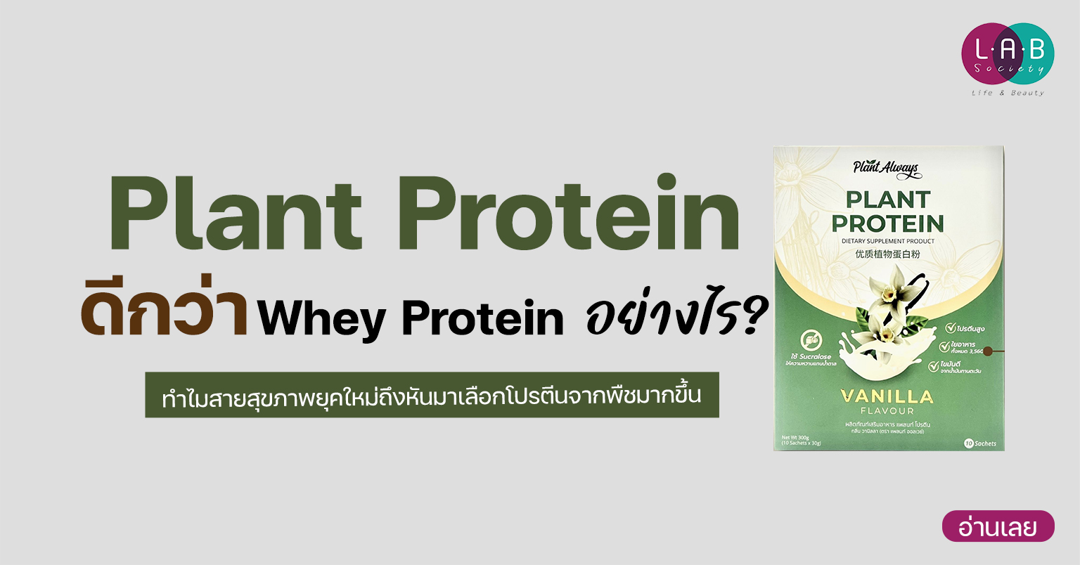 Plant Protein