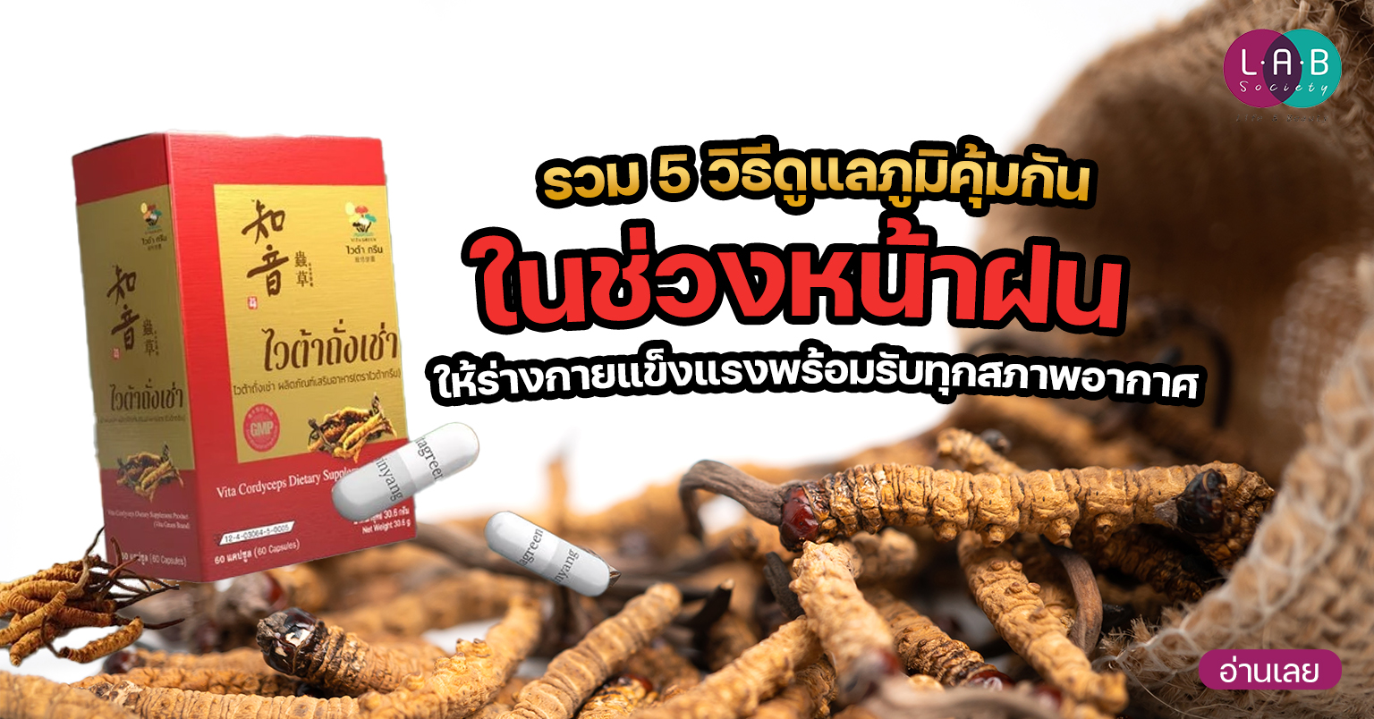 หน้าฝน Vita Cordyceps