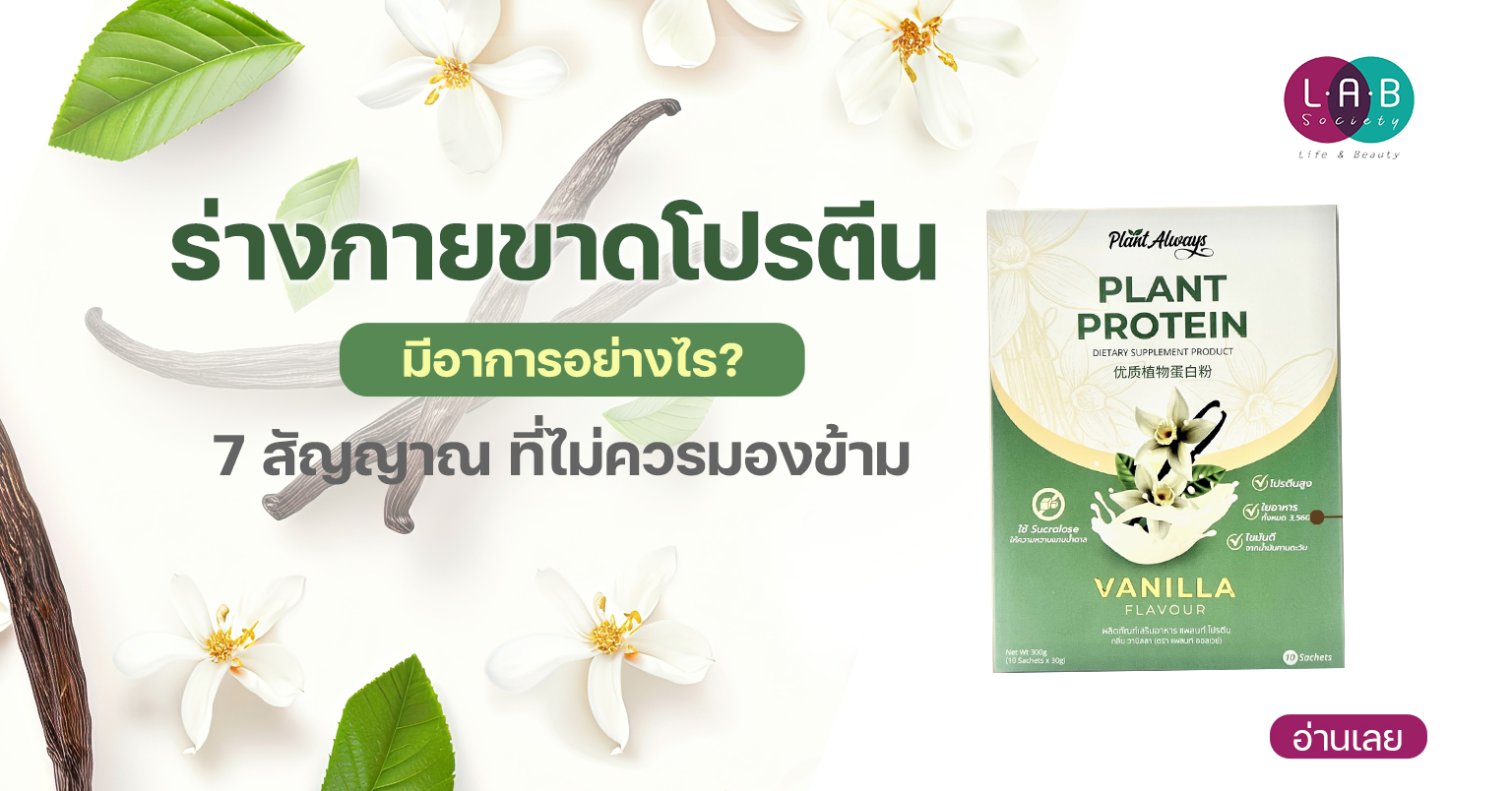 โปรตีน Plant Always Plant Protein
